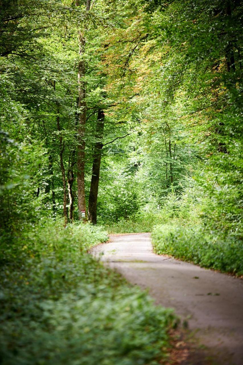 Christepaul Ferienwohnungen Bengel Esterno foto